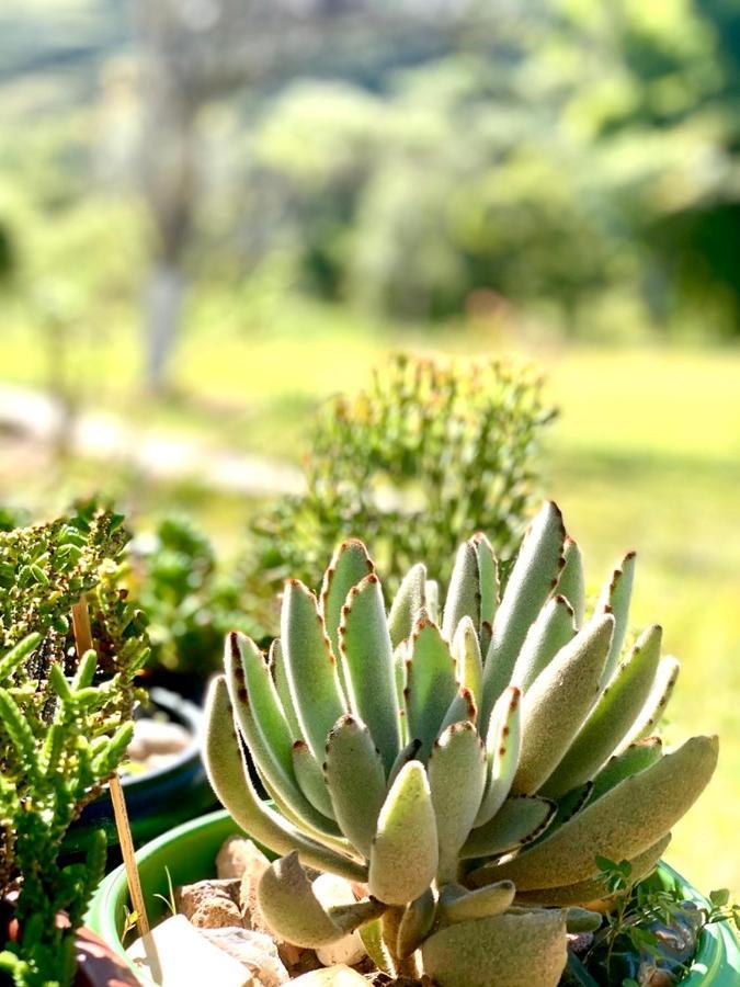 Recanto Roca Grande Cunha Bagian luar foto
